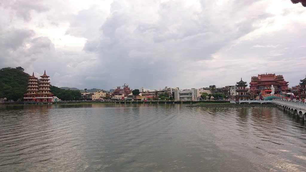 Lotus Blooms and Hidden Connections (image credits: flickr)