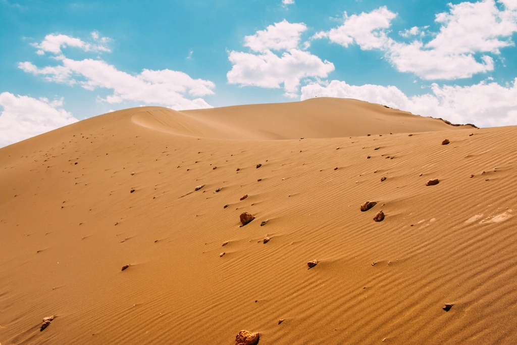 The Desert Discovery That Changed Everything (image credits: rawpixel)