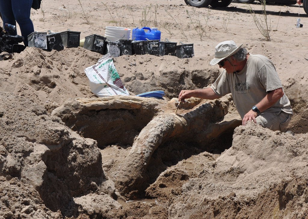 Modern Archaeological Investigations (image credits: flickr)