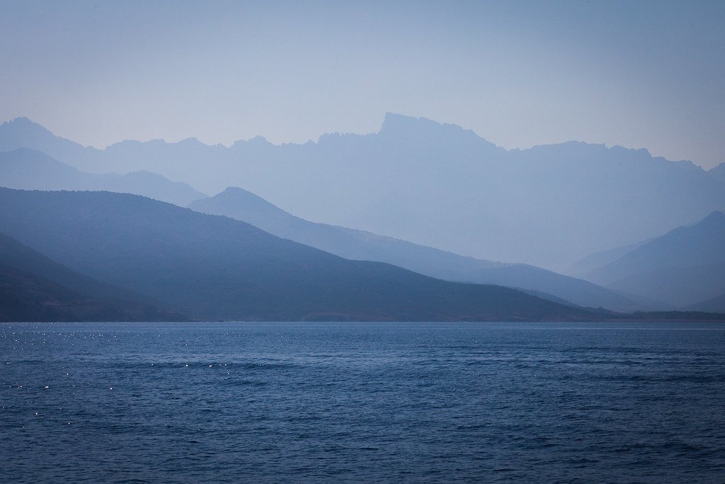 Marine Life Communities Follow the Same Patterns (image credits: flickr)