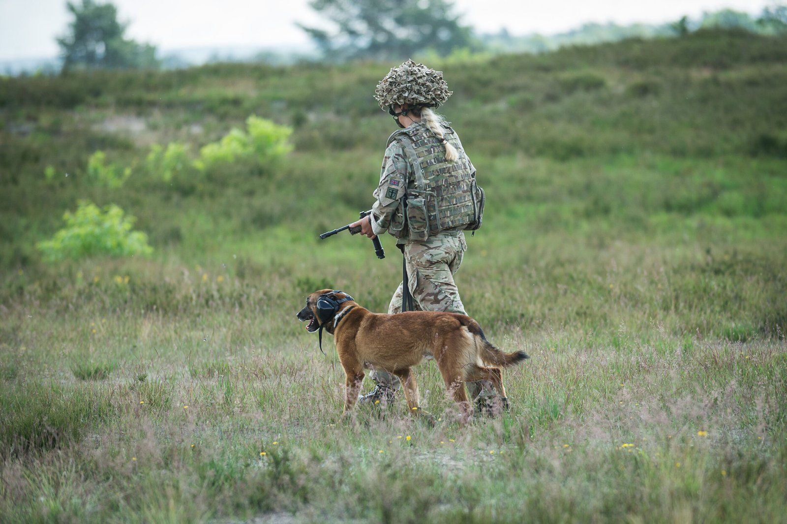 The Stress Factor: When Work Becomes Overwhelming (image credits: wikimedia)