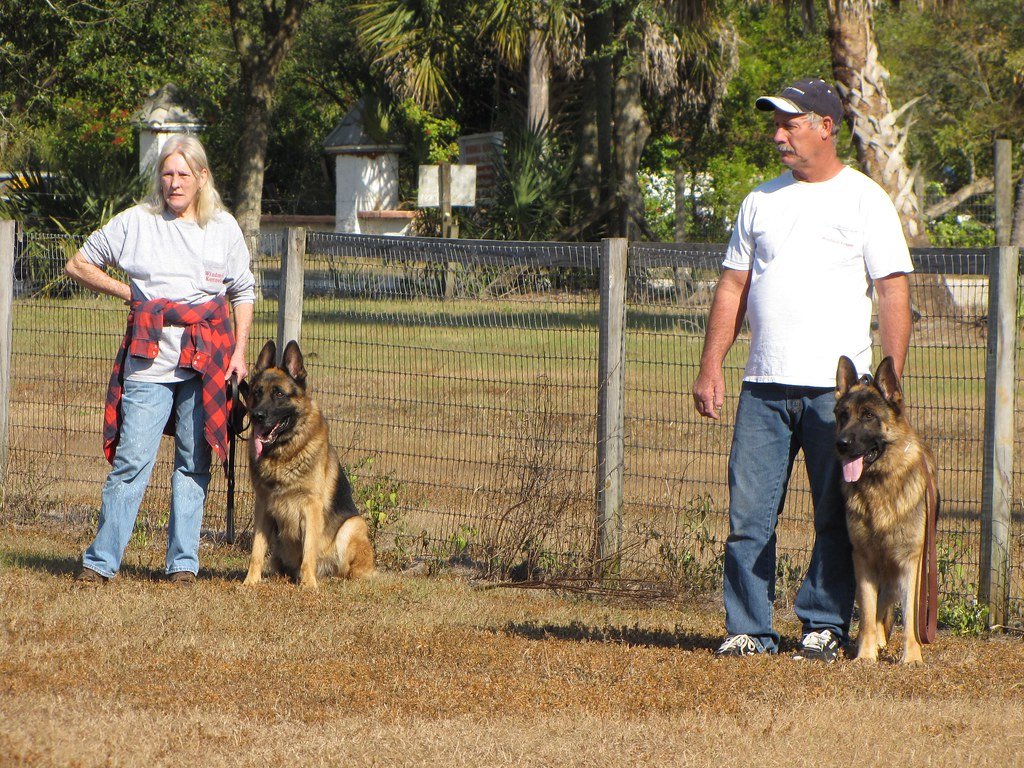 The Economics of Animal Detection: Following the Money Trail (image credits: flickr)