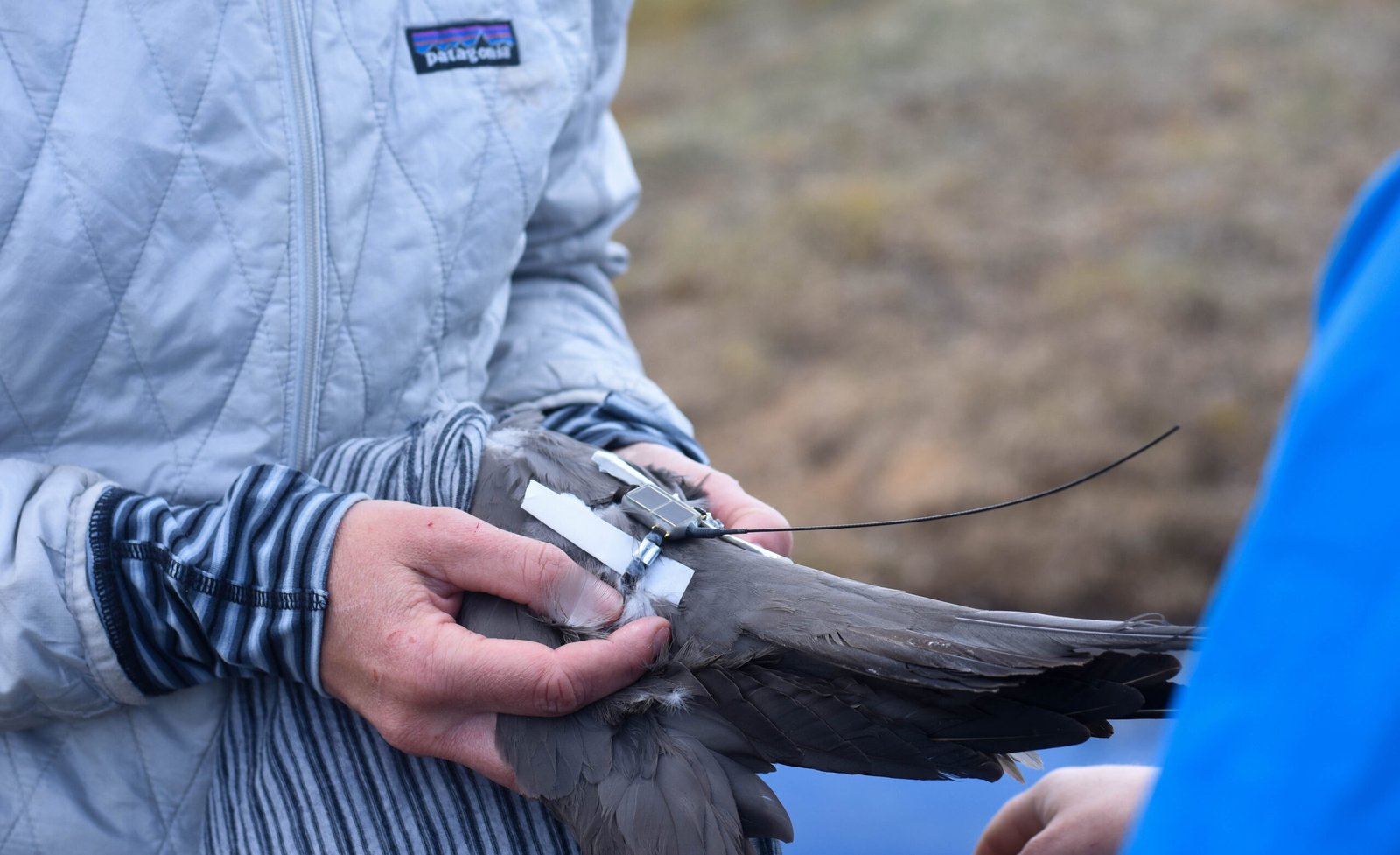 The Technology Behind Bio-Monitoring (image credits: wikimedia)