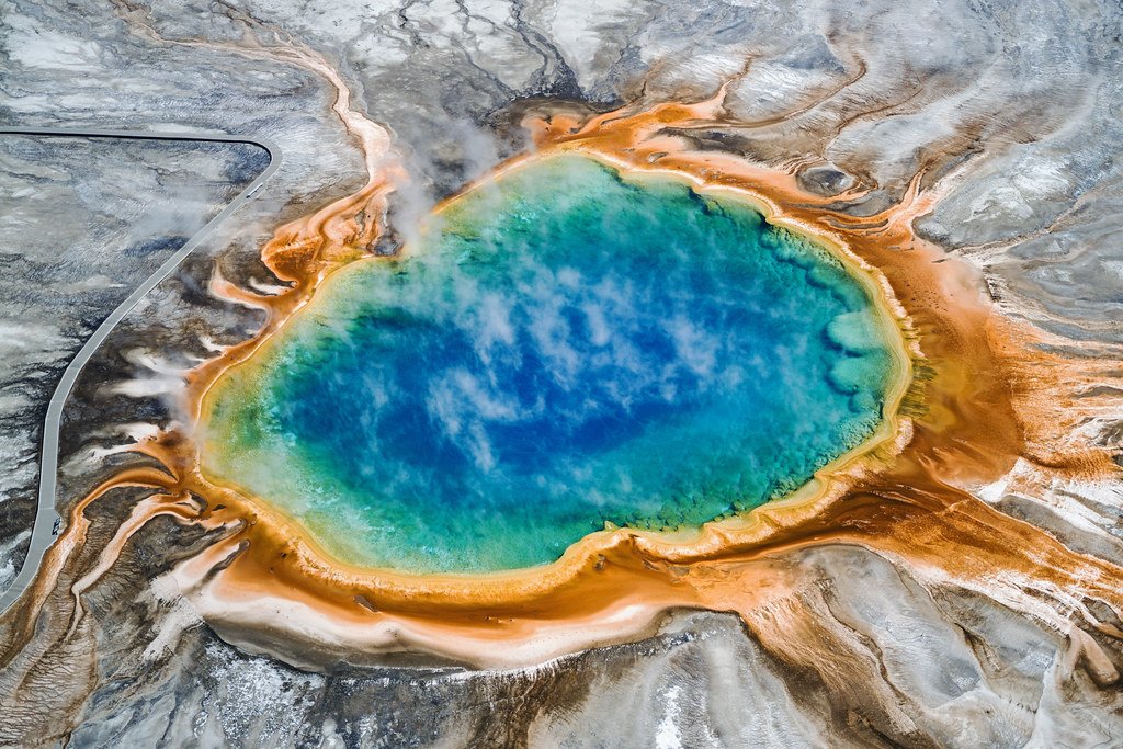 The UV-Resistant Microbe That Repairs Itself (image credits: flickr)