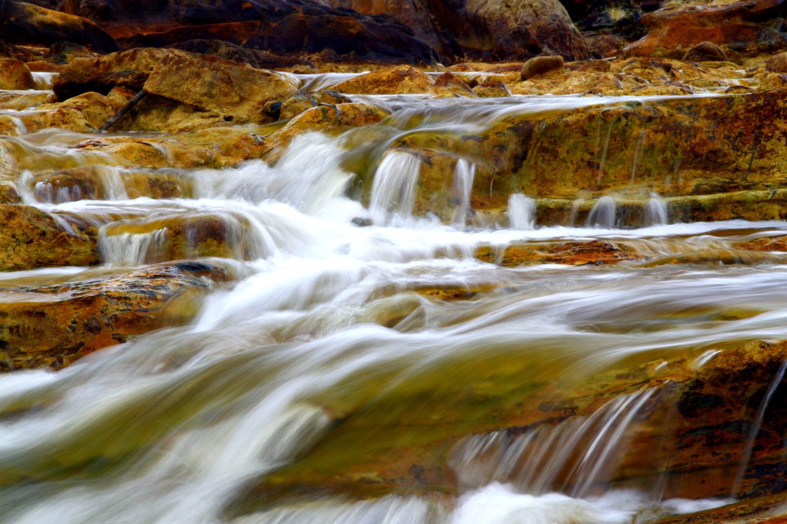 Life Found Thriving in Earth's Most Acidic Waters (image credits: wikimedia)