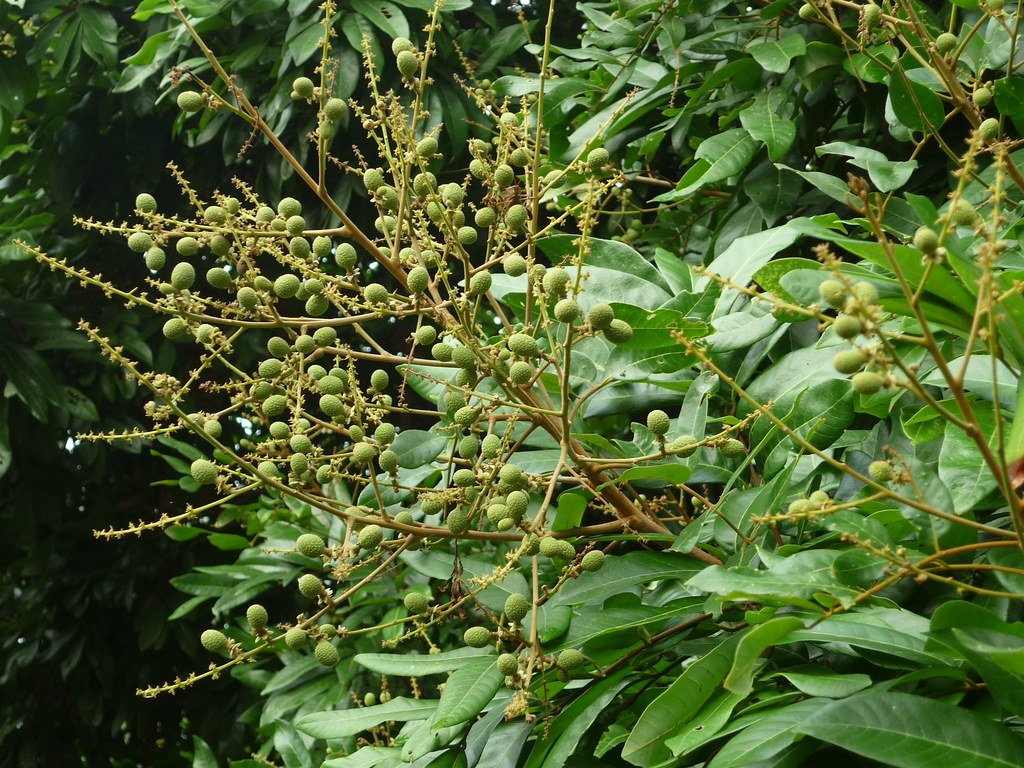 What This Means for Our Understanding of Life (image credits: flickr)