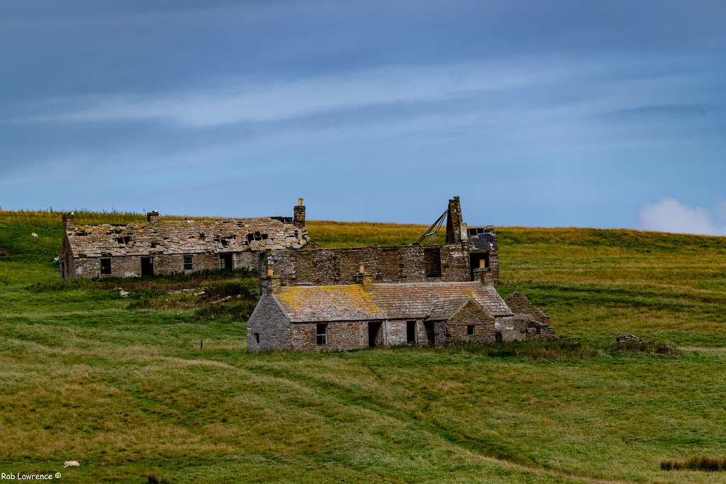 Environmental Adaptation and Innovation (image credits: flickr)