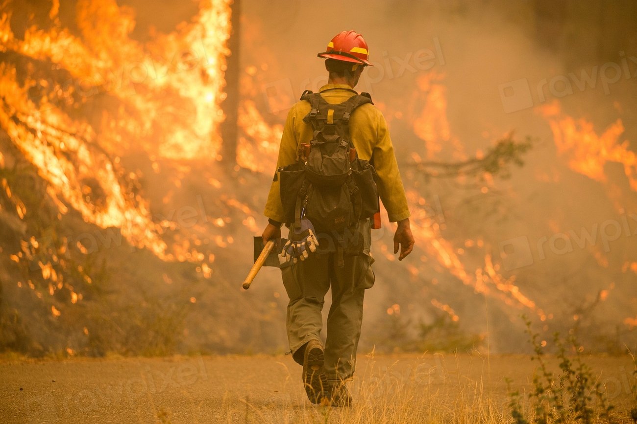Forest Fire Suppression and Accidental Introductions (image credits: rawpixel)