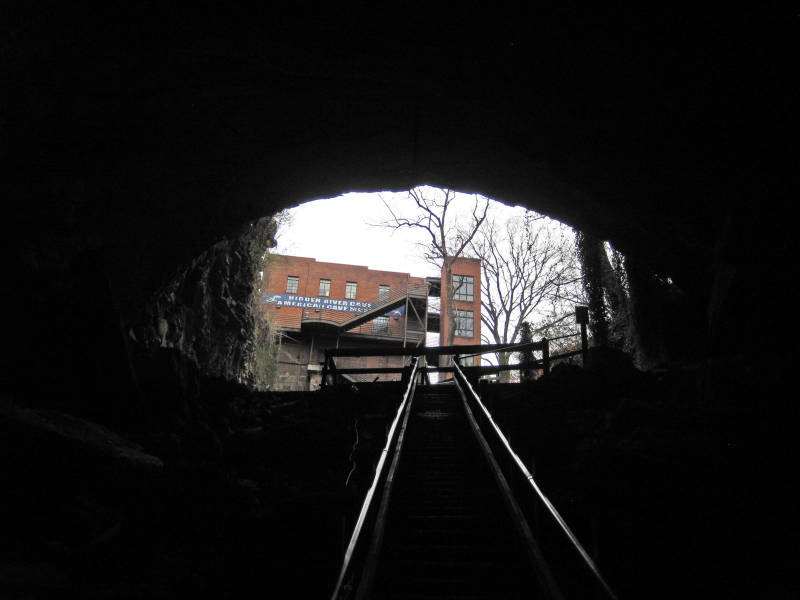 Life in Perpetual Darkness (image credits: wikimedia)