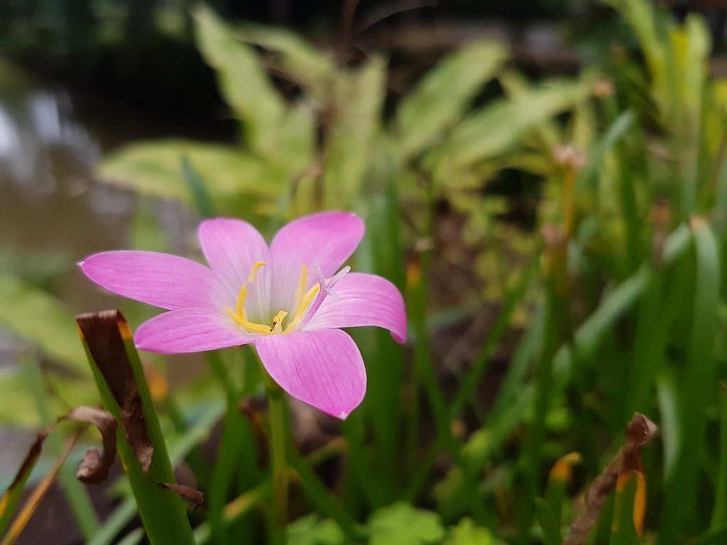The Physics Behind Nature's Color Palette (image credits: flickr)