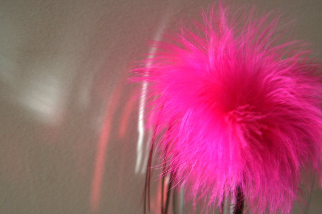 Hot Pink: Nature's Missing Neon (image credits: flickr)