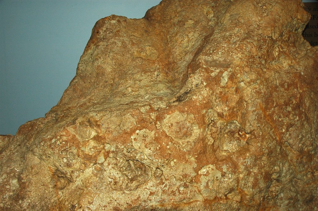 The Discovery That Changed Everything (image credits: flickr)