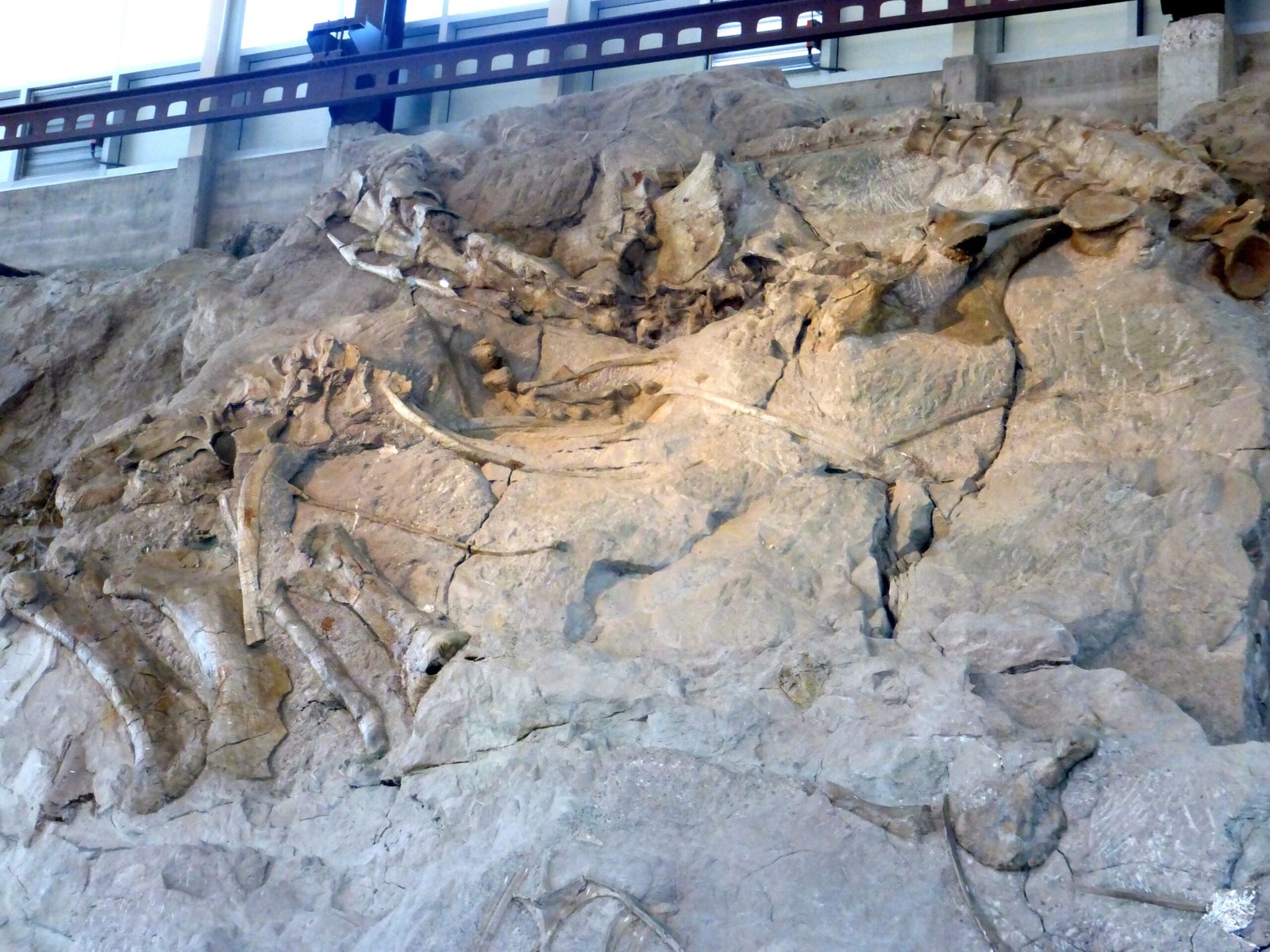 The Quarry Exhibit Hall: Science Meets Spectacle (image credits: wikimedia)