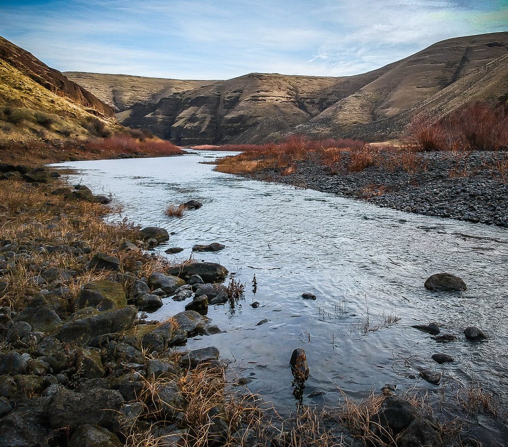 The River That Created a Museum (image credits: flickr)