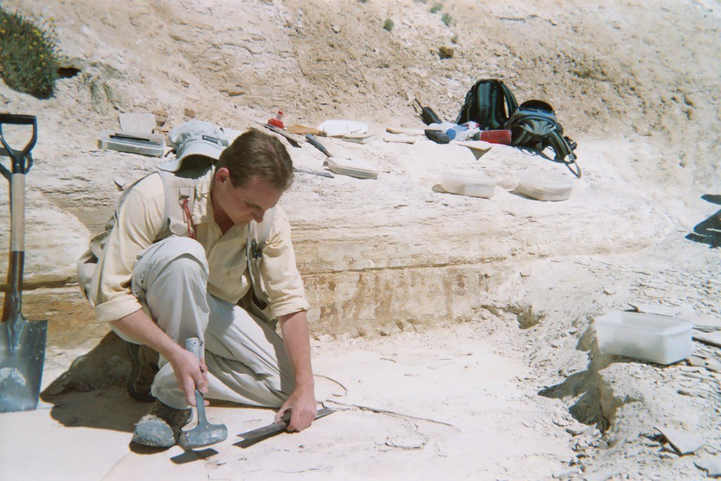 Research Opportunities for Future Scientists (image credits: flickr)