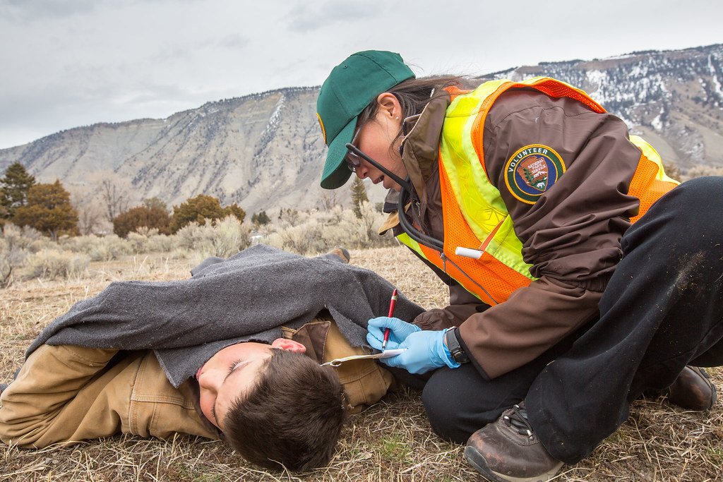 The Birth of Modern Animal Training (image credits: flickr)