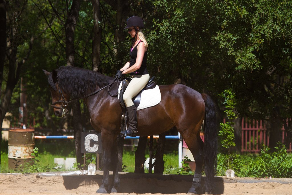 Shaping: Building Complexity Step by Step (image credits: flickr)