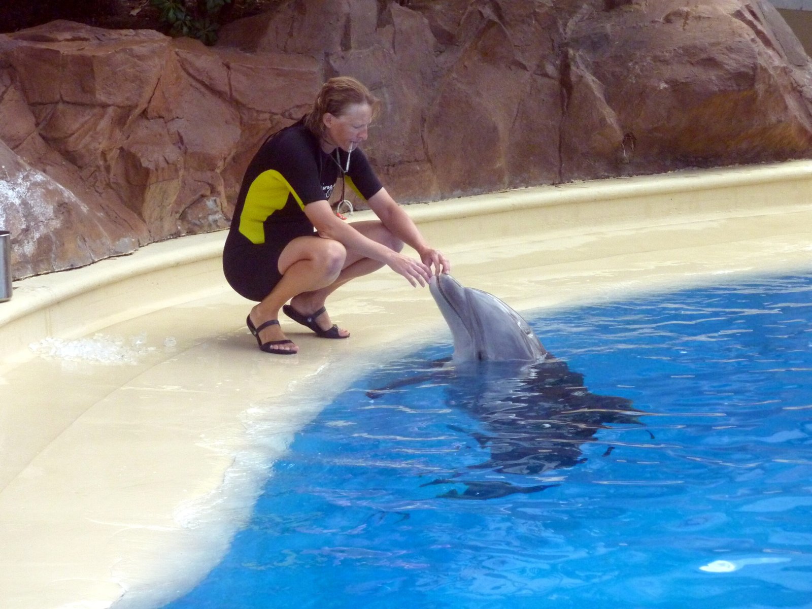 Technology and Modern Training Methods (image credits: wikimedia)