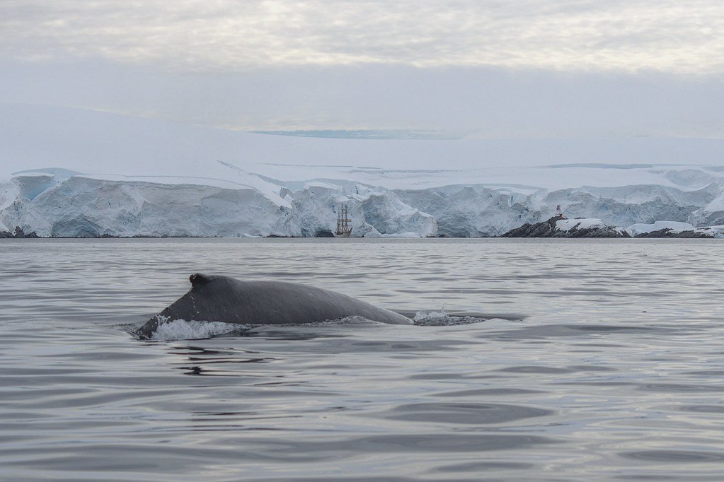 Future Challenges: Navigating Uncertain Waters (image credits: flickr)