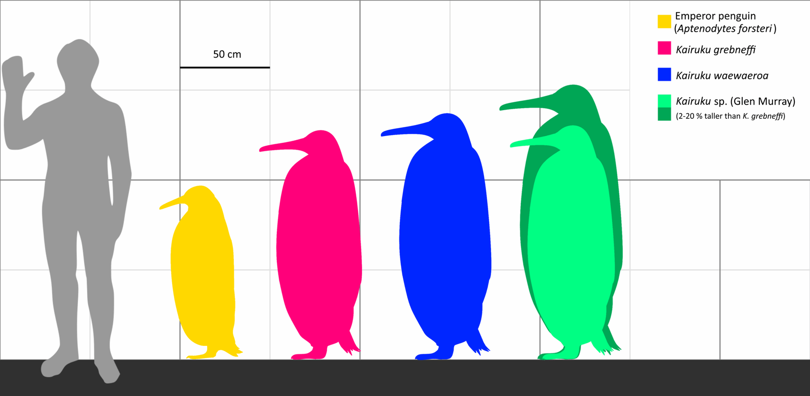 The Monster Penguin Discovery That Shocked Scientists (image credits: wikimedia)