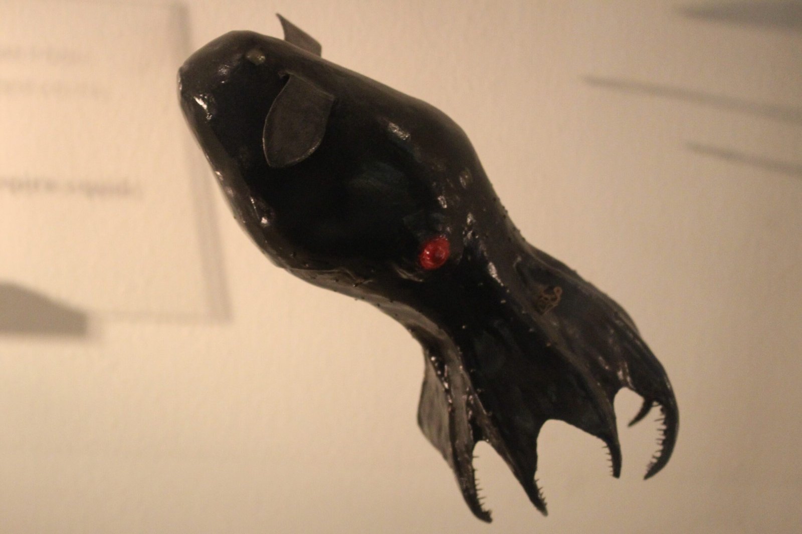The Vampire Squid: The Goth of the Deep Sea (image credits: wikimedia)