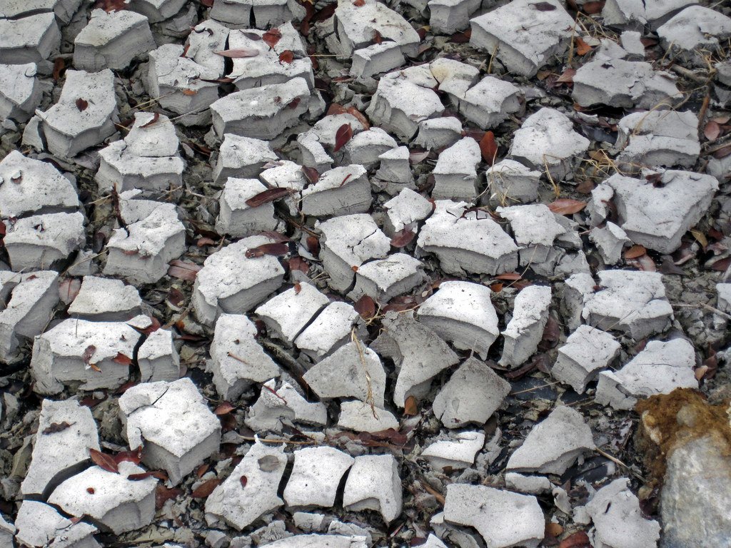 Stromatolites: Earth's Earliest Ecosystems (image credits: flickr)