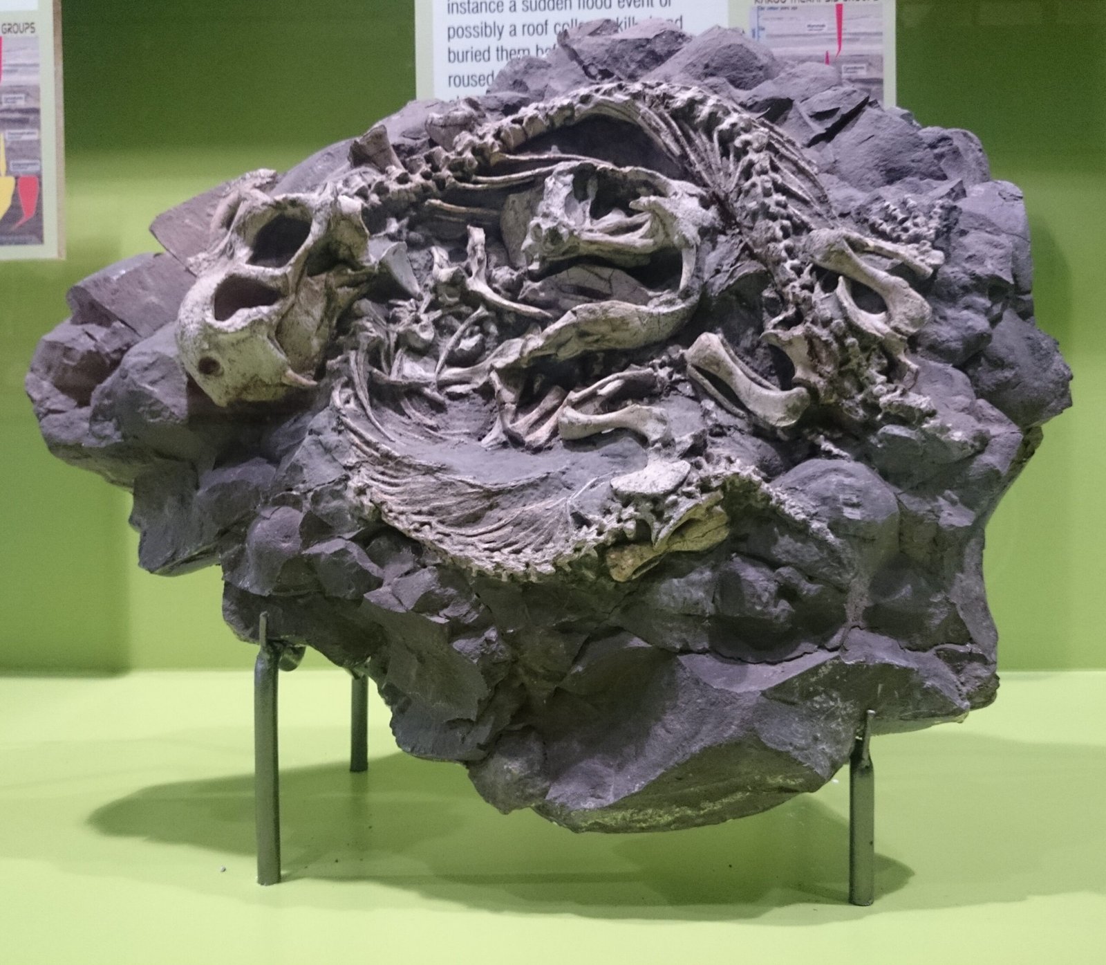 Fossilized Burrows: Traces of Invisible Life (image credits: wikimedia)