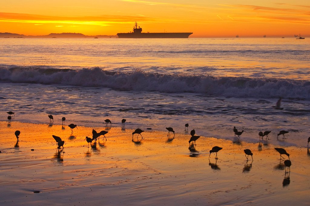 What Bird Behavior Teaches Us About Our Own Rhythms (image credits: flickr)