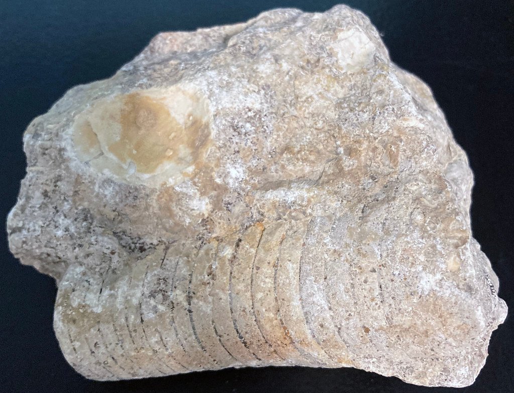 Climate Change Clues Hidden in Limestone (image credits: flickr)