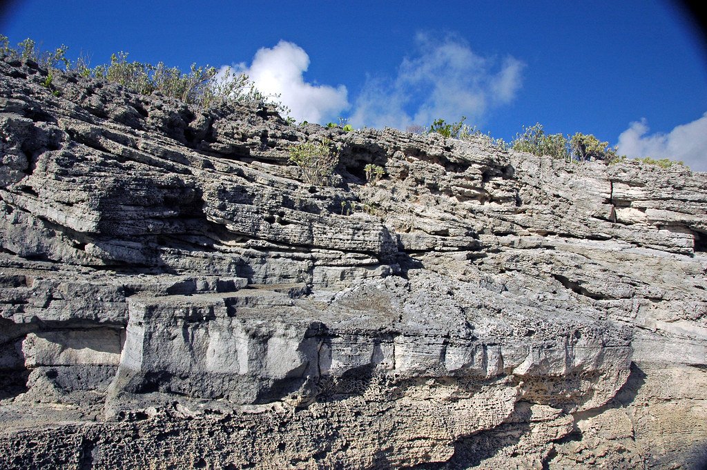 The Role of Ancient Coral Reefs in Building Paris (image credits: flickr)