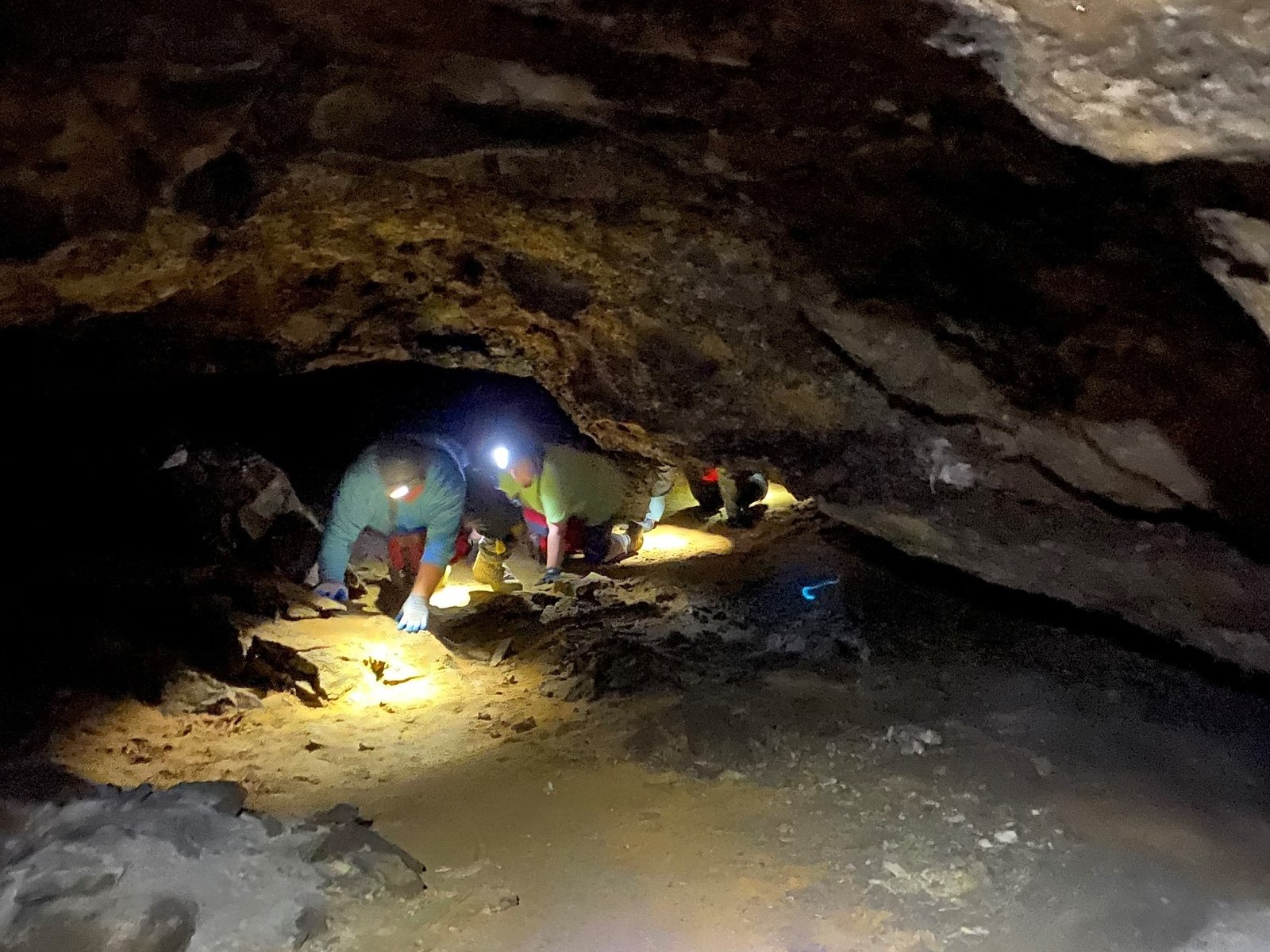 The Future of Fossil Research Beneath Paris (image credits: wikimedia)