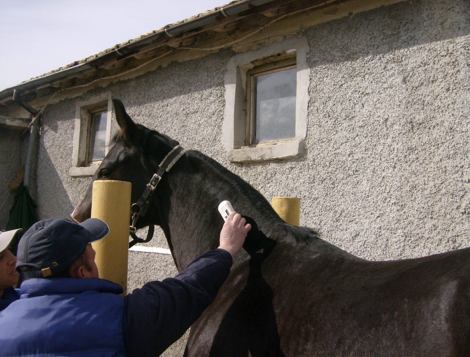 The Economics of Microchipping vs. Searching (image credits: wikimedia)