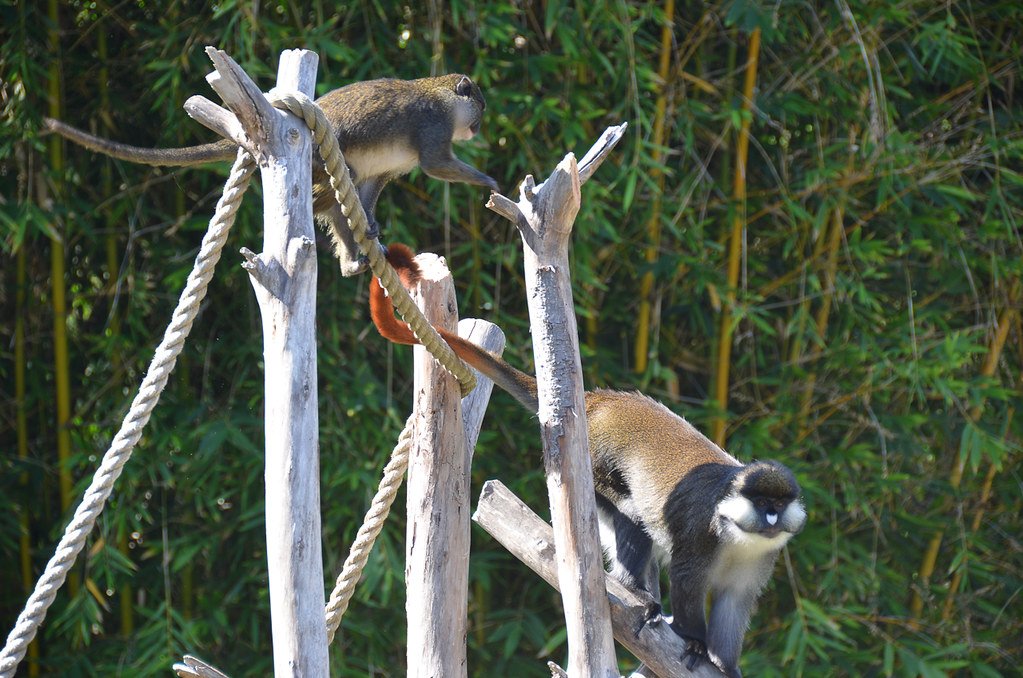 Seasonal and Temporal Enrichment Programs (image credits: flickr)