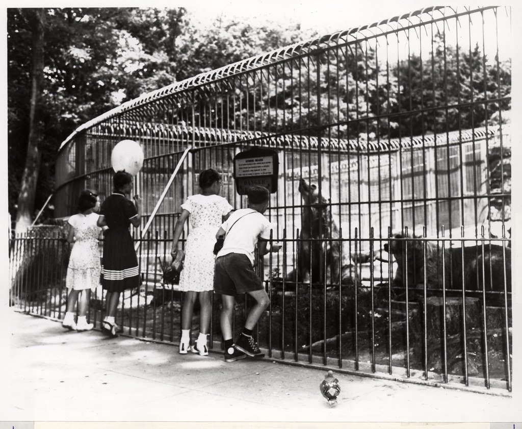 Immersive Habitat Design Revolution (image credits: flickr)