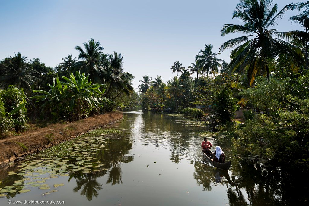 Freshwater Ecosystems and Their Hidden Treasures (image credits: flickr)