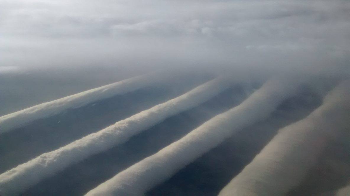 Morning Glory Clouds: Nature's Roll Call (image credits: wikimedia)