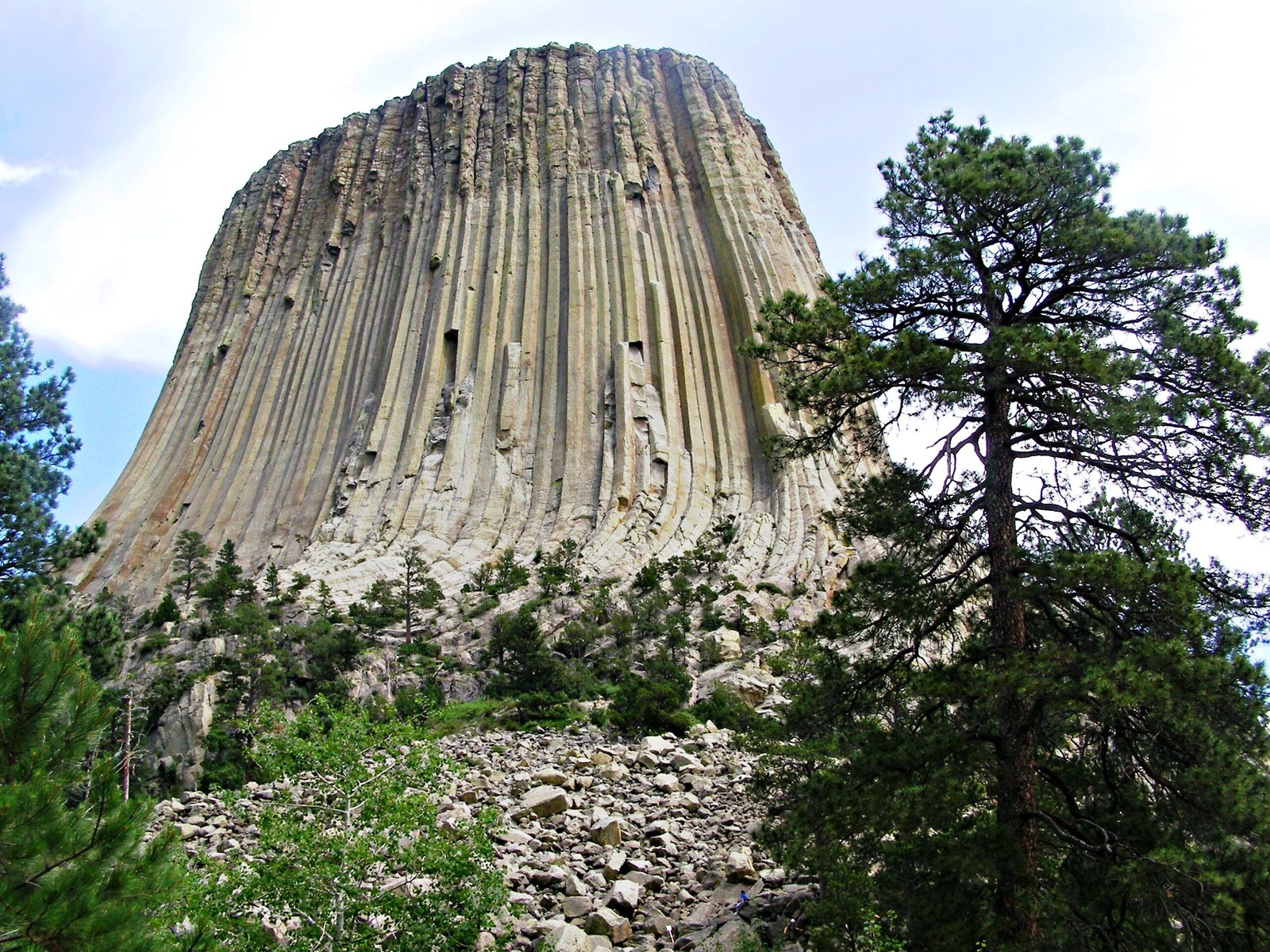 Conservation Challenges and Future Management (image credits: wikimedia)