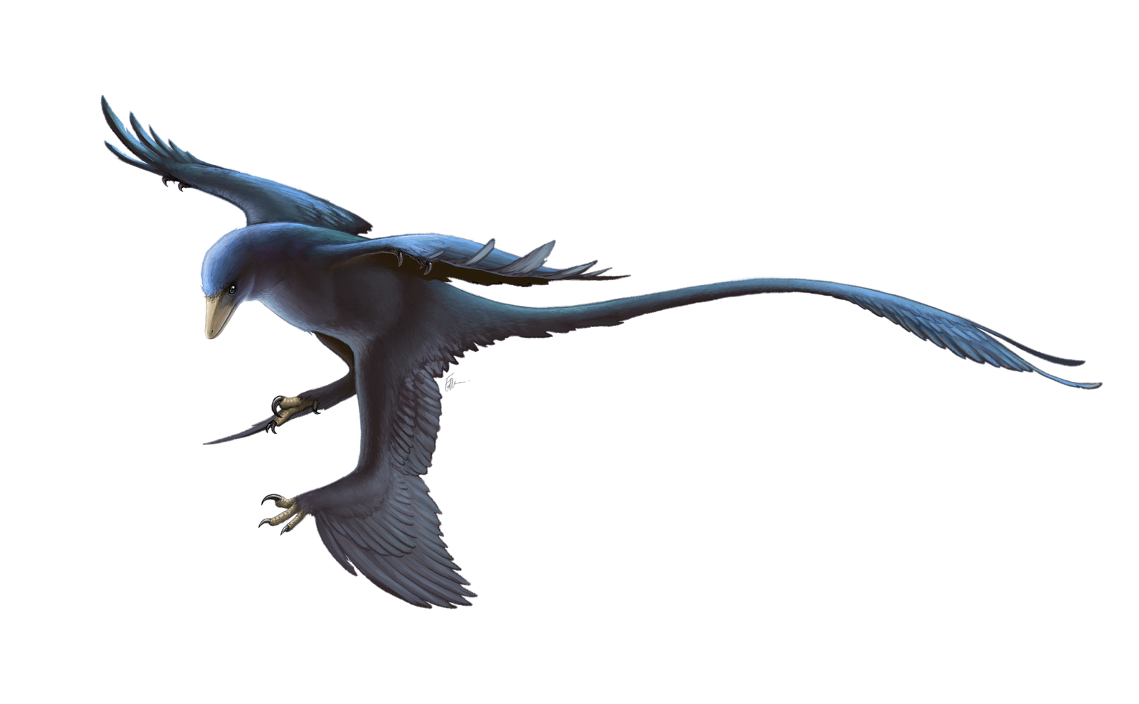 The Tiniest Dinosaurs Were Smaller Than Your Pet Cat (image credits: wikimedia)