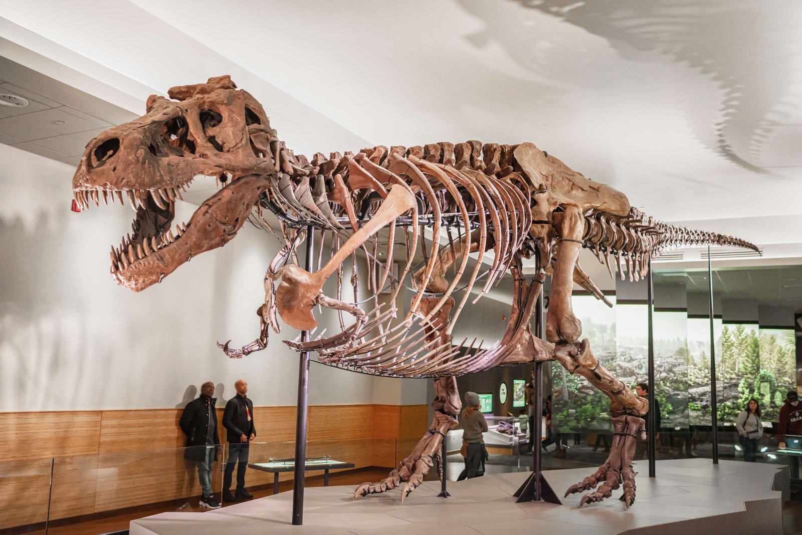 School Bus Dinosaurs That Ruled the Playground (image credits: wikimedia)