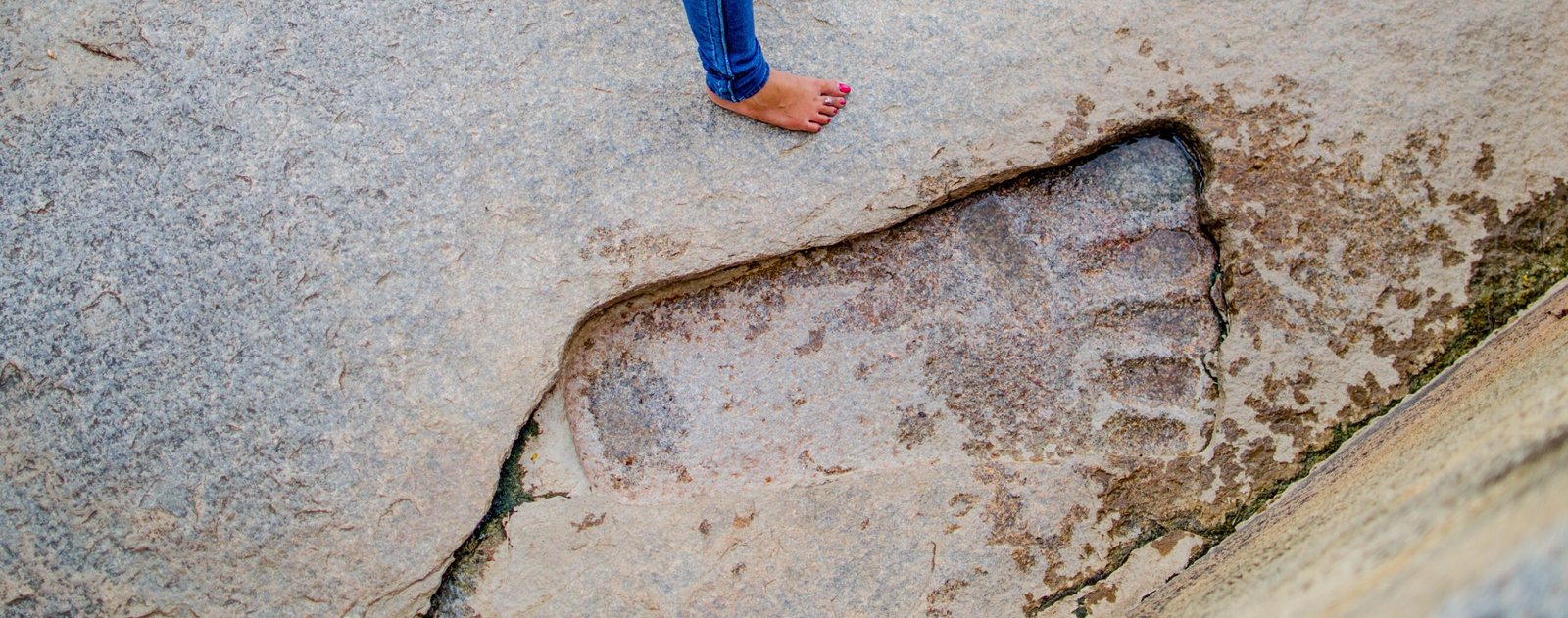 Dinosaur Feet That Made Craters (image credits: wikimedia)