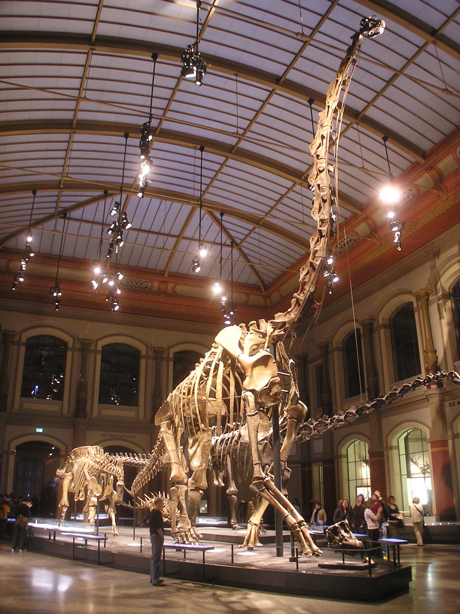 Comparing Dinosaurs to Modern Animals We Know (image credits: wikimedia)