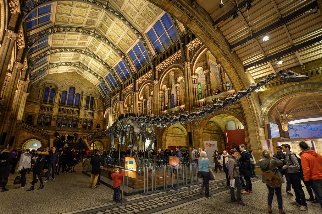 Dinosaur Tails That Worked Like Extra Arms (image credits: flickr)