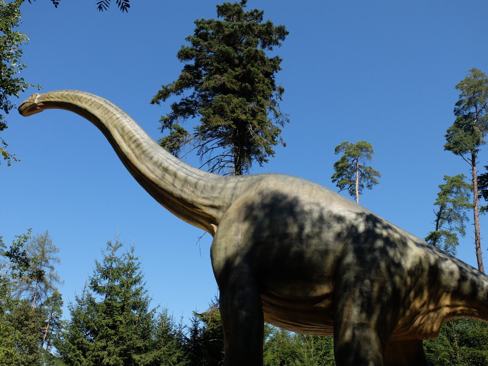 Dinosaur Hearts That Pumped Like Fire Engines (image credits: wikimedia)
