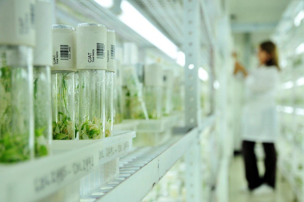 Genetic Engineering Opens New Possibilities (image credits: flickr)