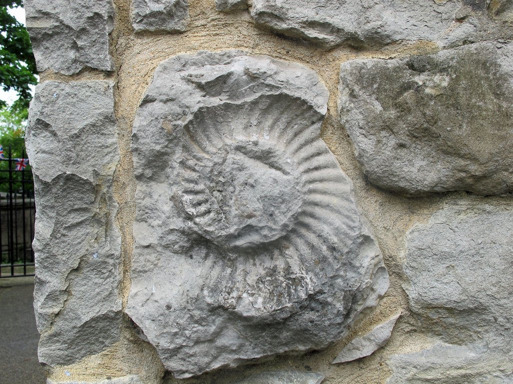 The Jurassic Coast That Time Forgot (image credits: flickr)