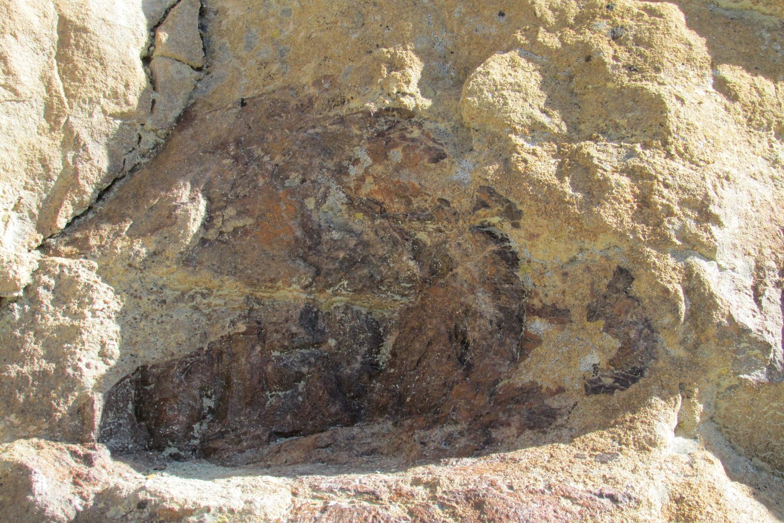 The Geological Time Machine (image credits: wikimedia)