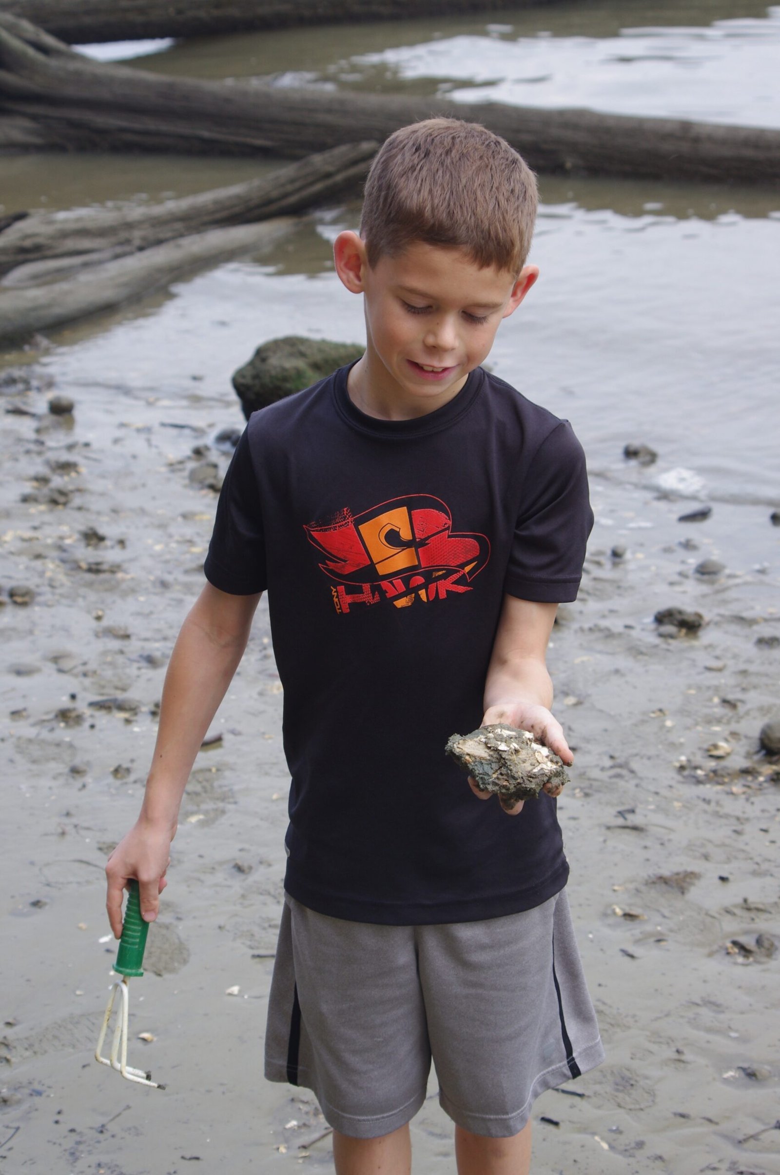 The Citizen Science Revolution (image credits: wikimedia)