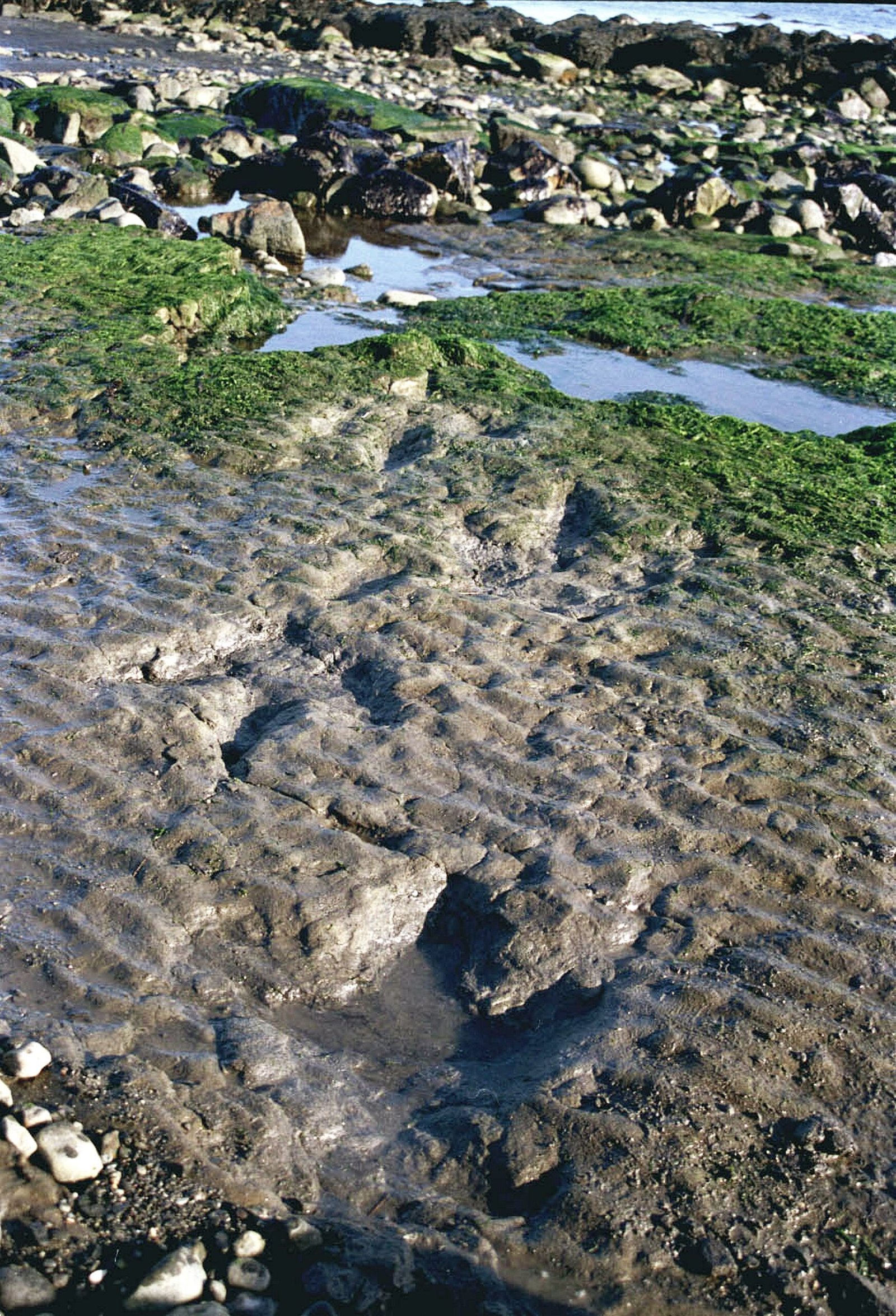 Future Discoveries Await (image credits: wikimedia)