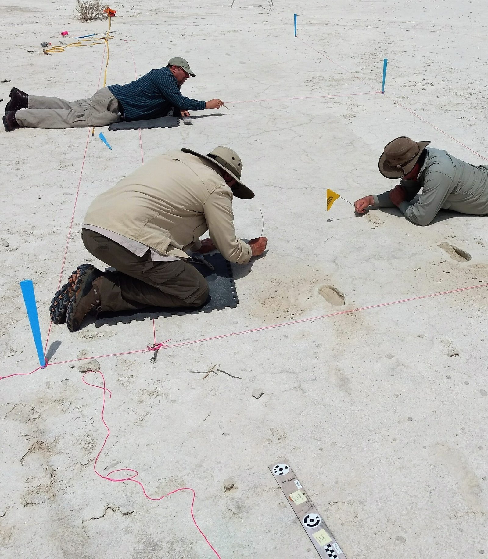A Prehistoric Lake Bed Turned Time Machine (image credits: NPGallery, Public domain, https://commons.wikimedia.org/w/index.php?curid=135943642)