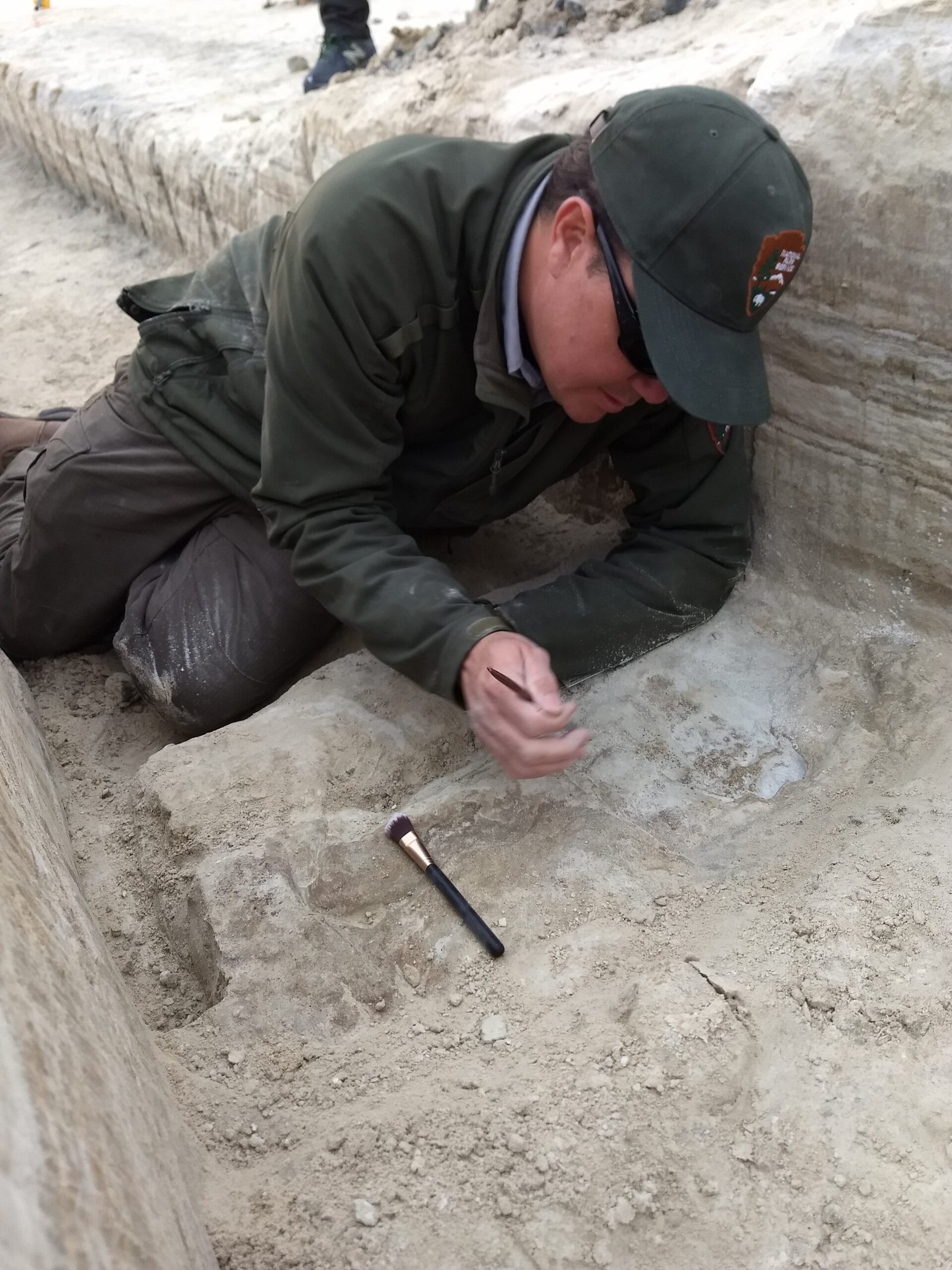 The Science Behind Dating Ancient Footsteps (image credits: NPGallery, Public domain, https://commons.wikimedia.org/w/index.php?curid=135944257)
